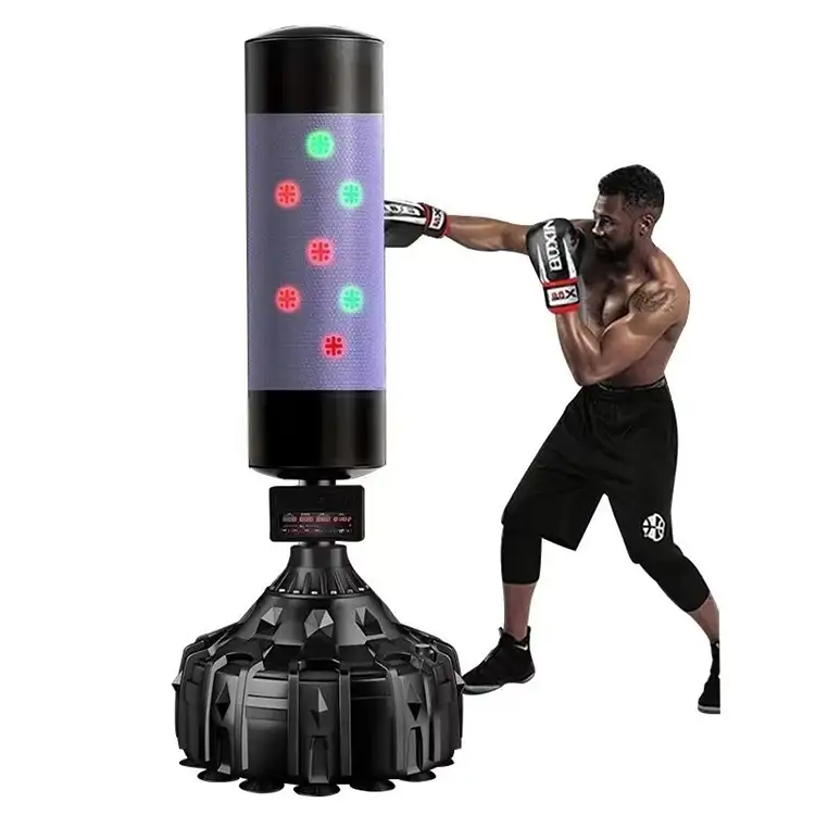 Musical Boxing Sandbag